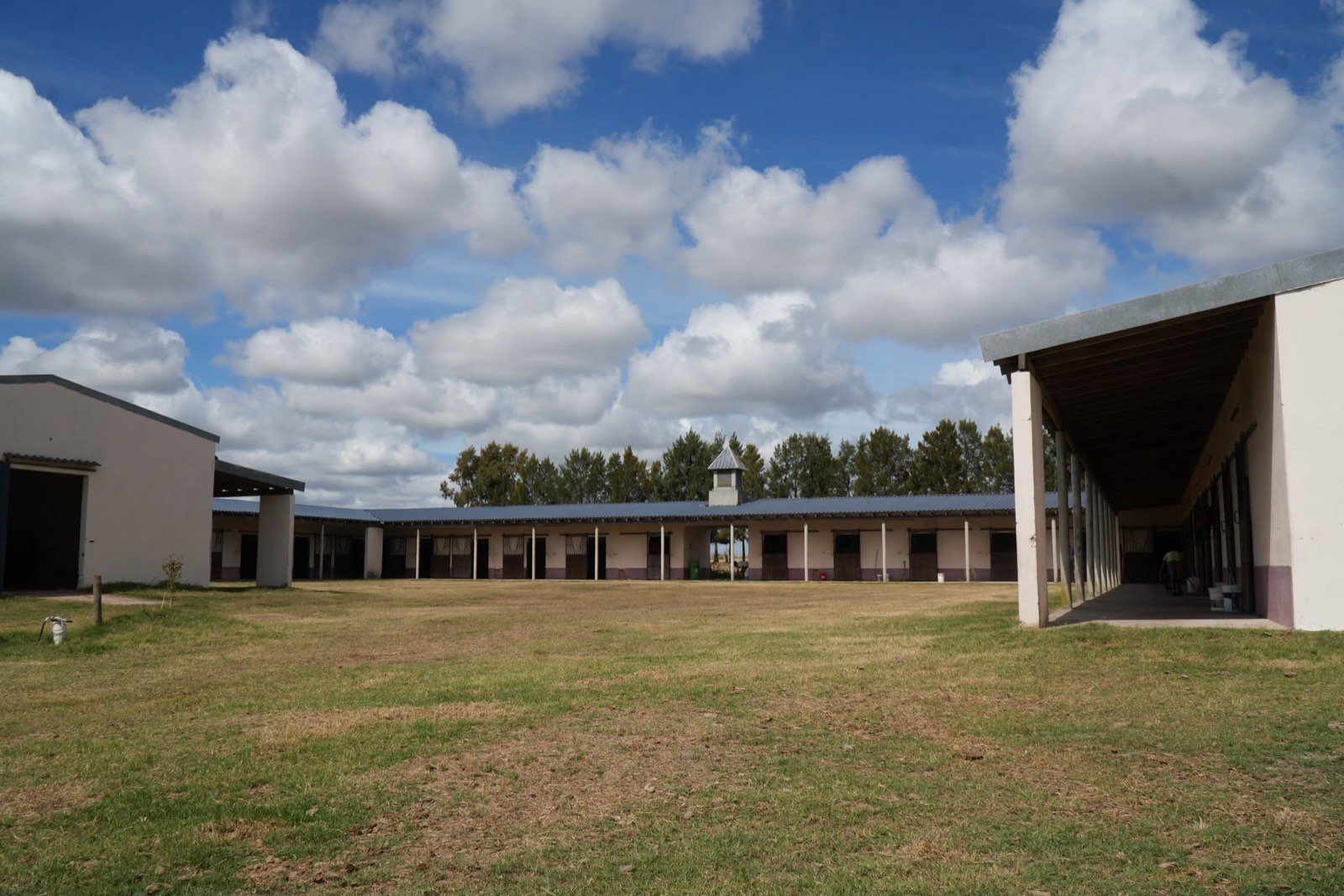 Patio del haras, con galpones y torre